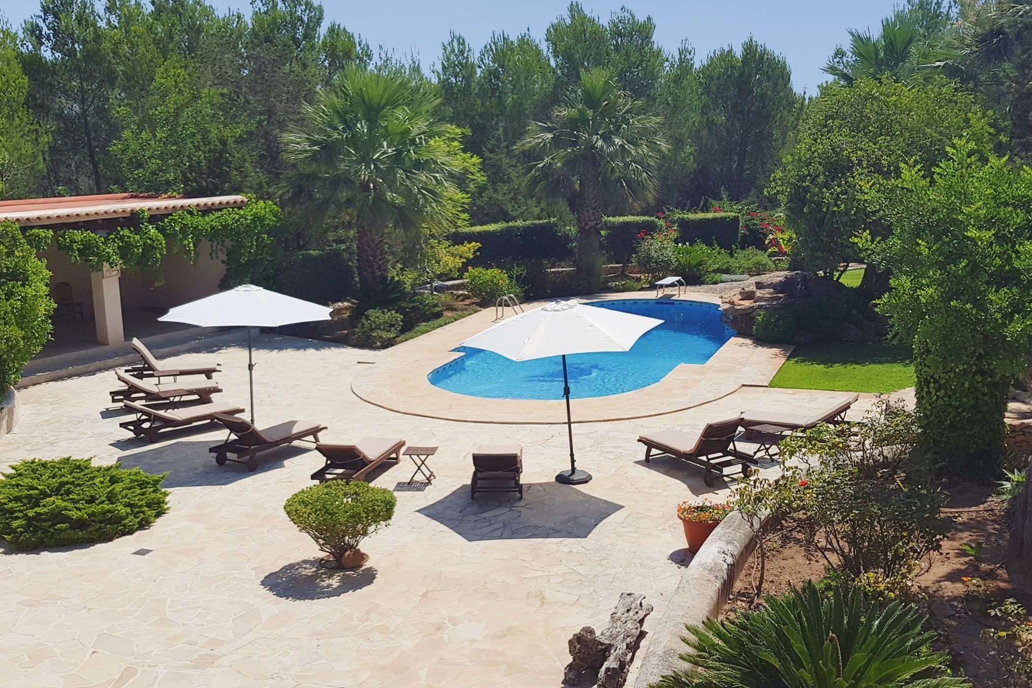 43f0090e-Can-20Paloma-20Two-20-2822-29