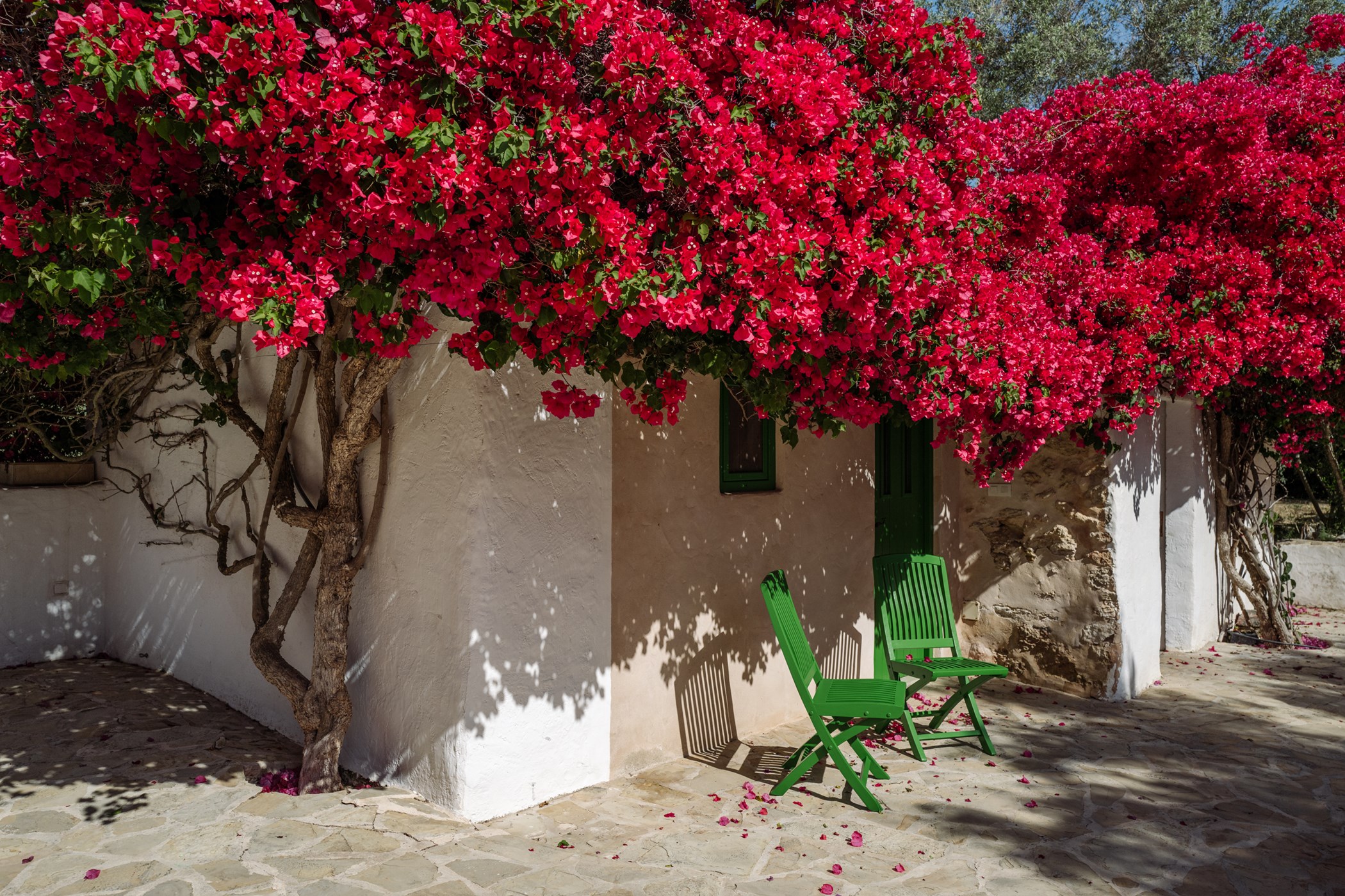 CasaLaVistaIbiza_LR-122