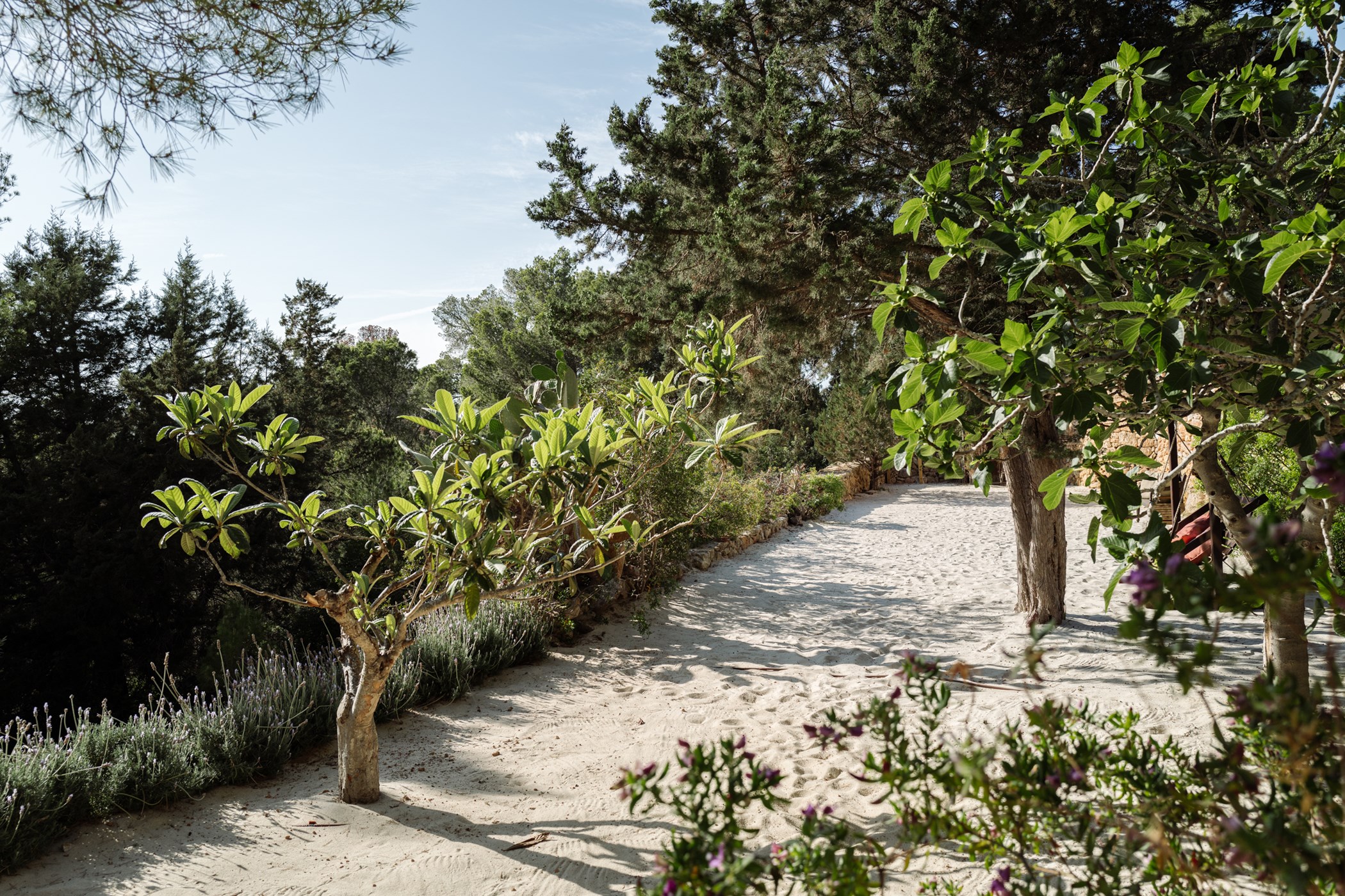 CasaLaVistaIbiza_LR-149