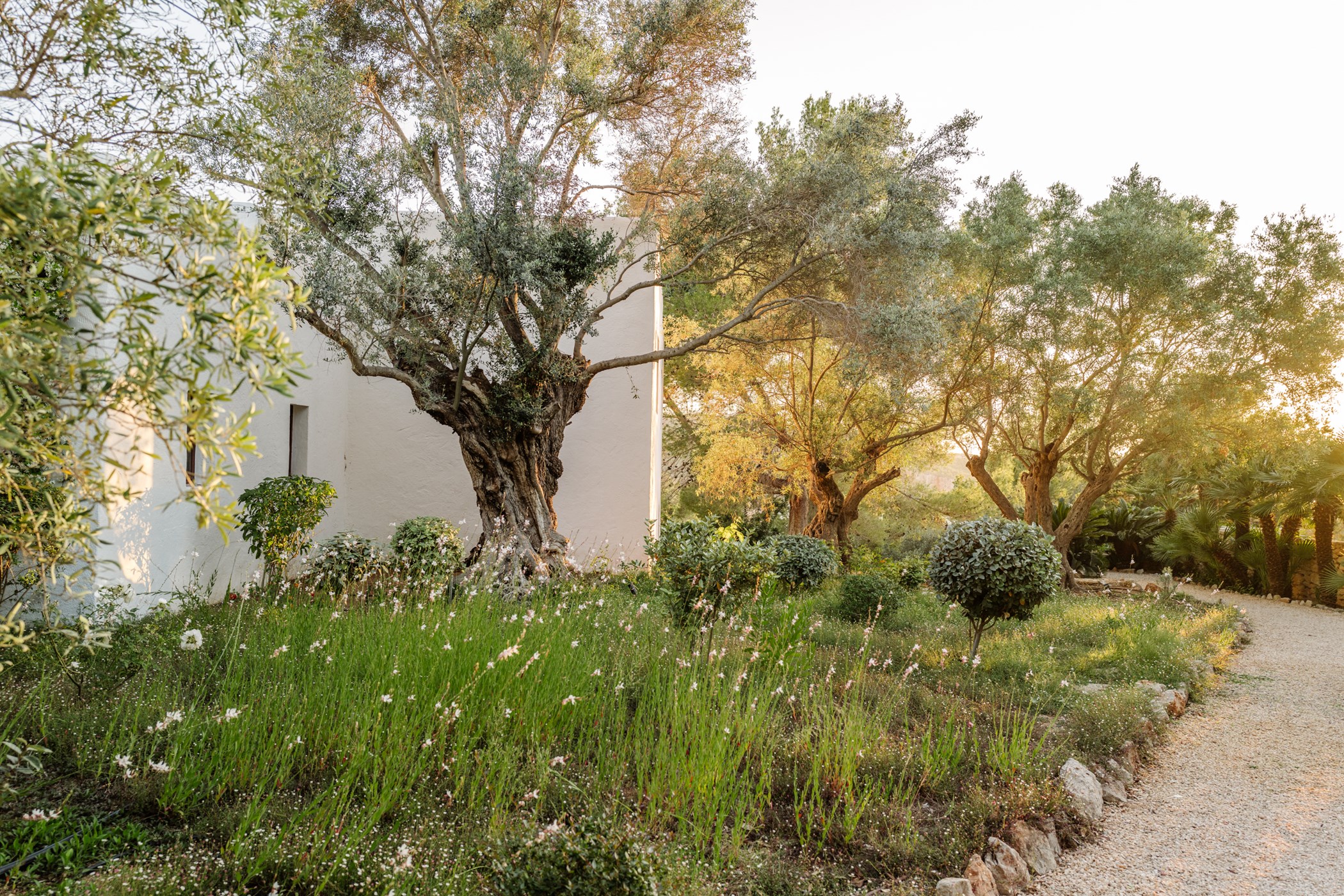 CasaLaVistaIbiza_LR-206