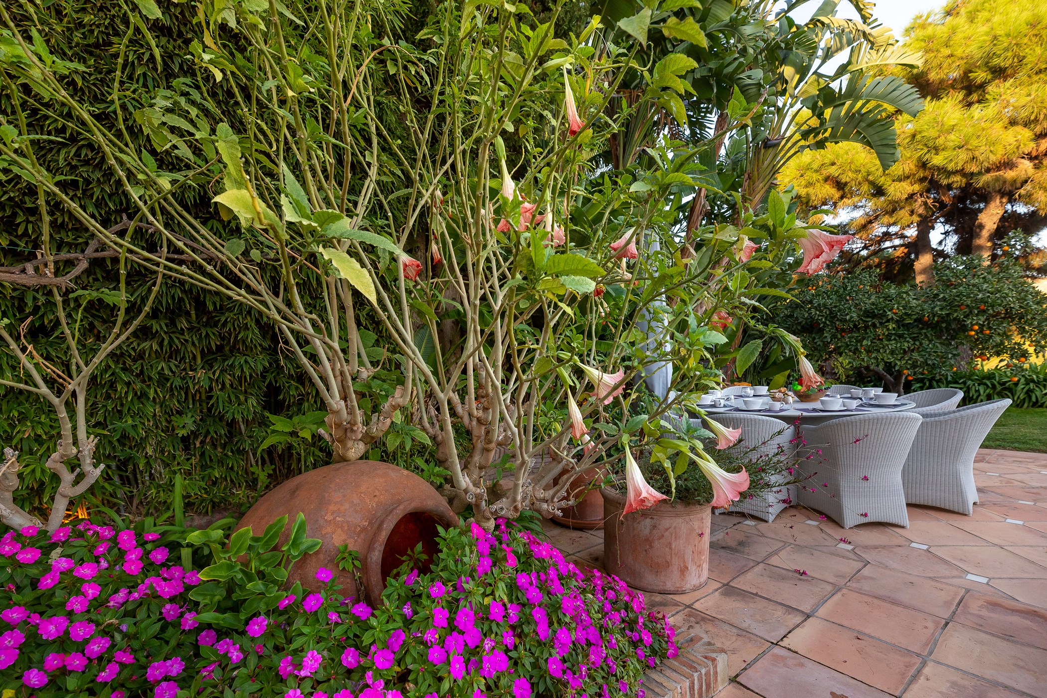 EV-PRINT-Villa-Celeste-22