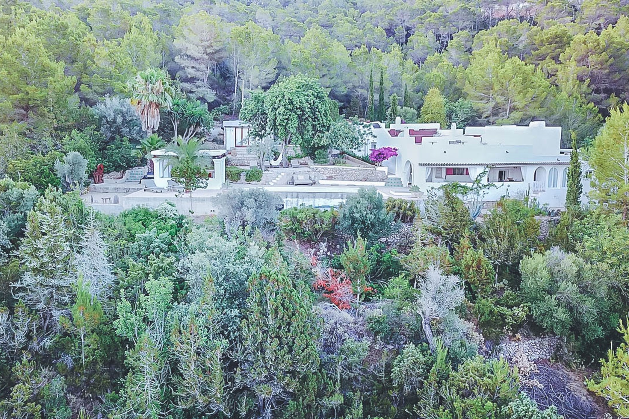 Finca-Natascha-San-Juan-drone