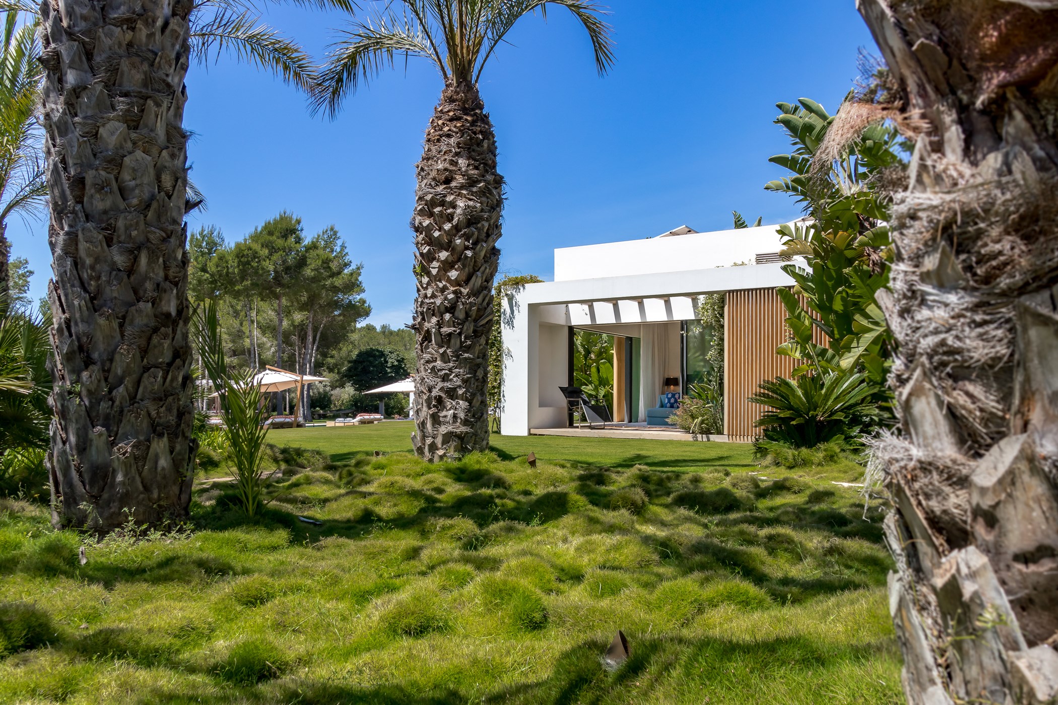 Na-Xica-by-Ali-Framil-041