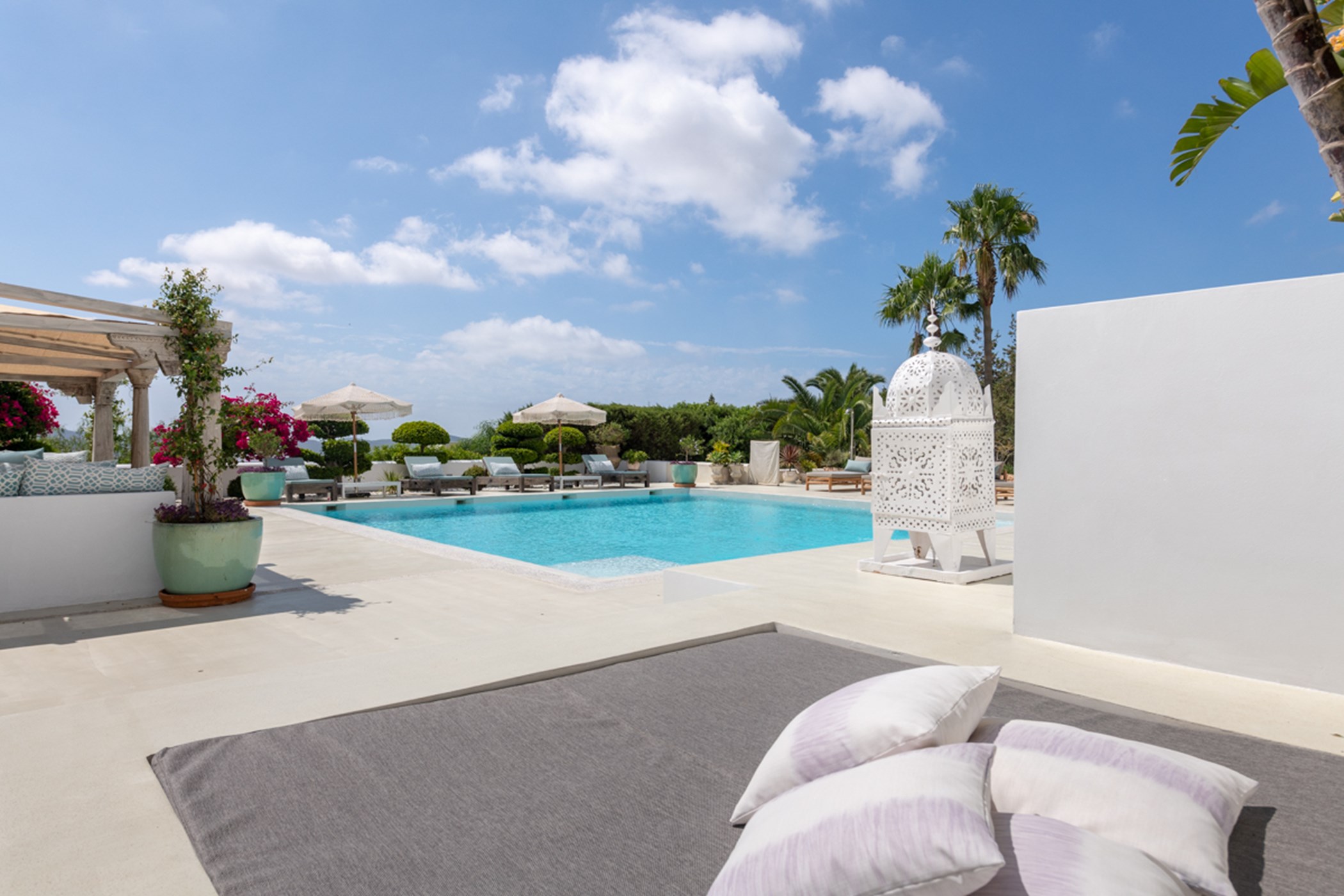 Tamas-Photography-TAM_8269