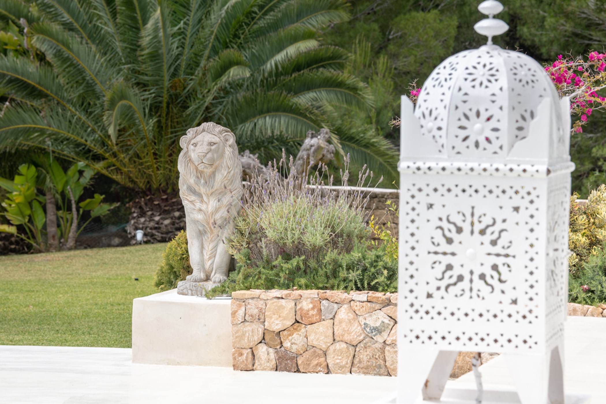 Tamas-Photography-TAM_8350