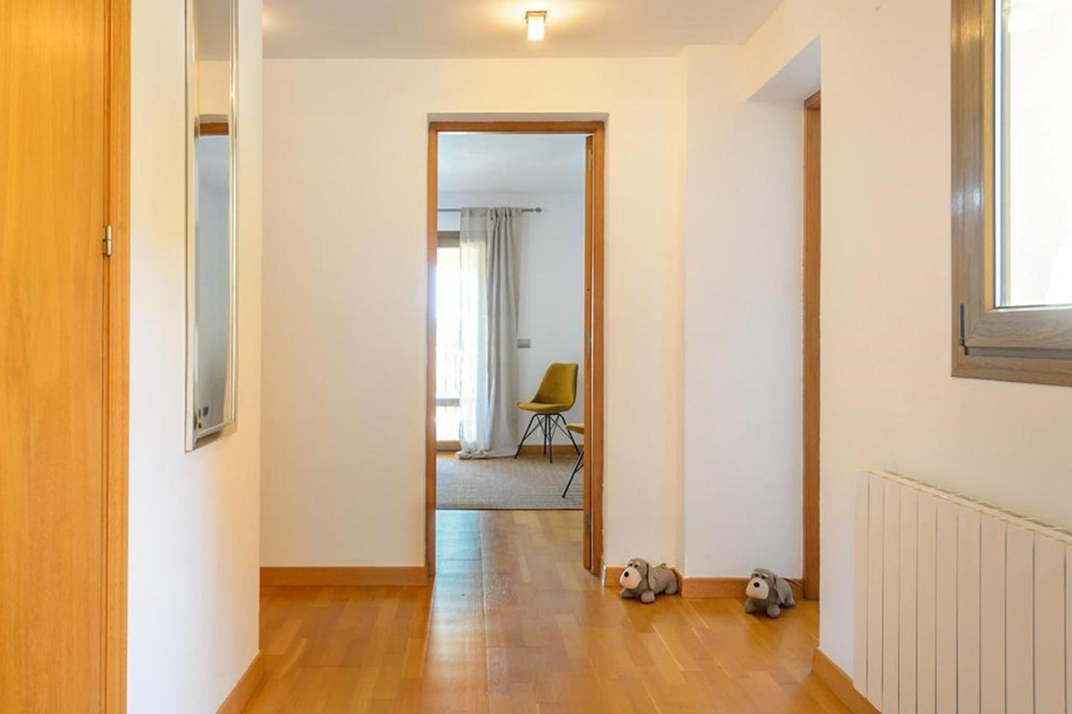 WhatsApp-Image-2025-01-27-at-20.36.27