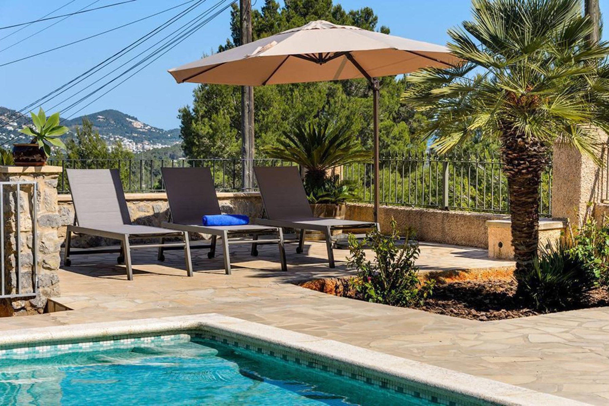 WhatsApp-Image-2025-01-27-at-20.36.35