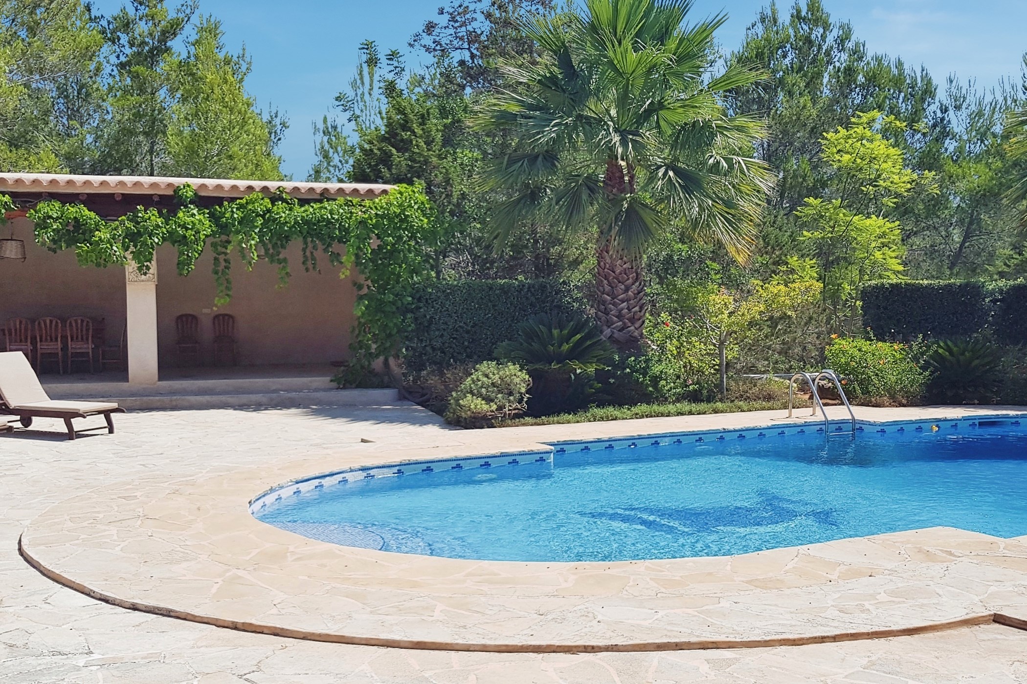 c8f3f2d6-Can-20Paloma-20Two-20-2810-29