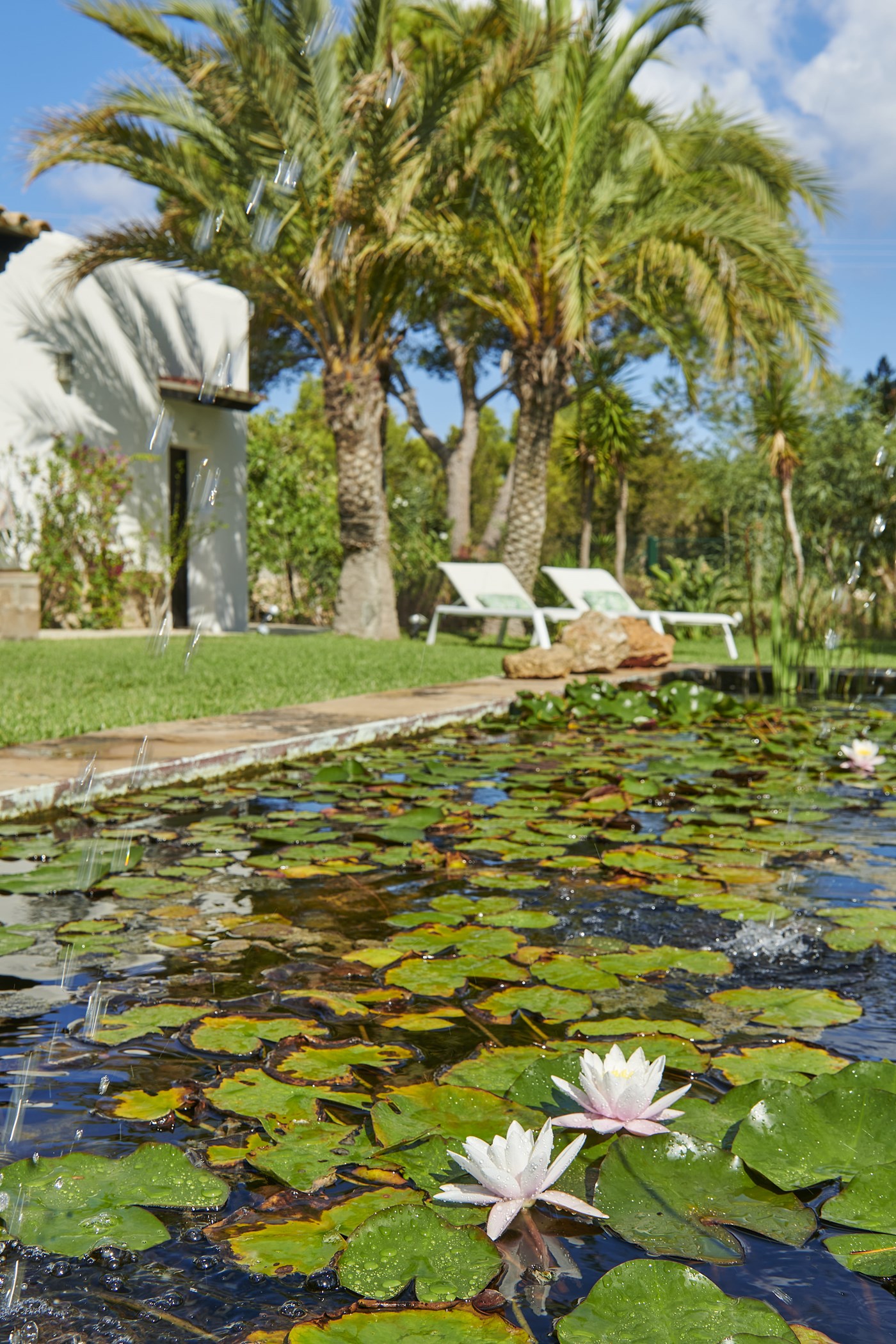 can-alcantara_200906_023_5000px