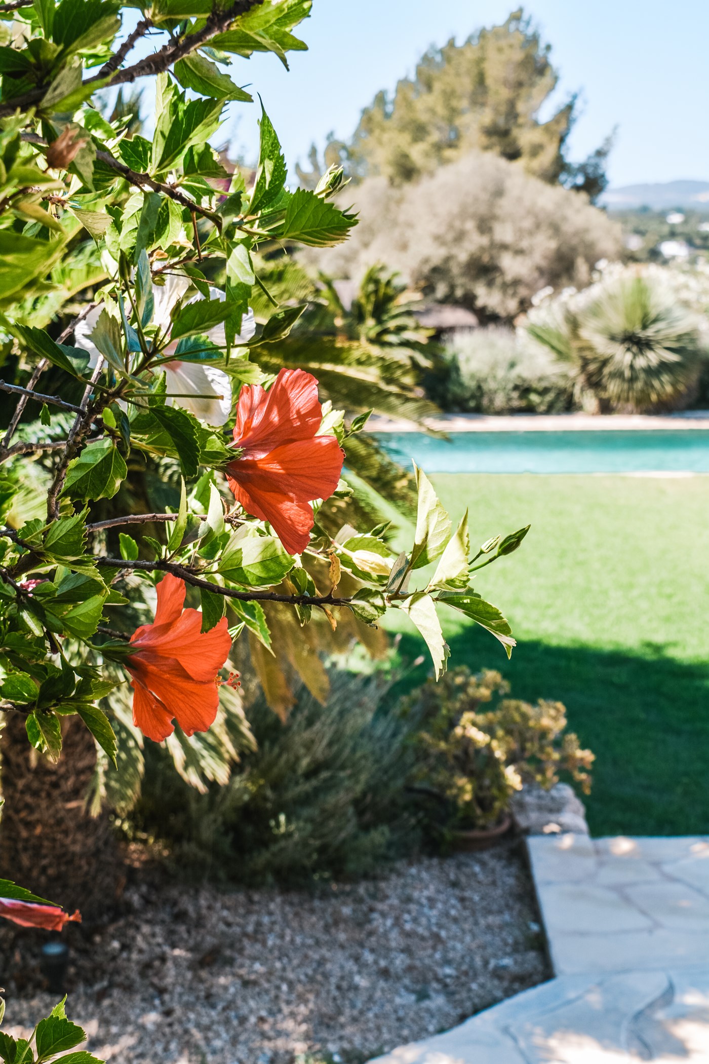 celest.villa_.byjdt2024-274