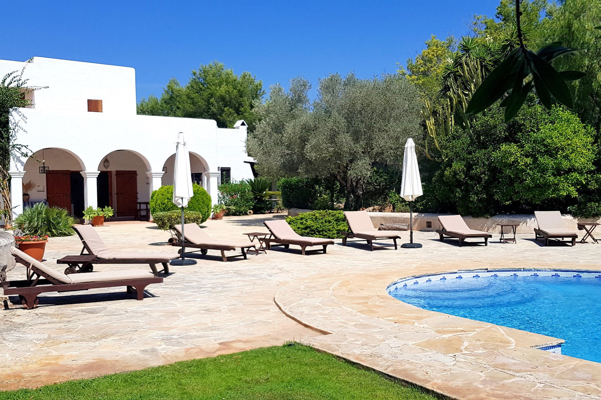 dd60d17a-Can-20Paloma-20Two-20-281-29