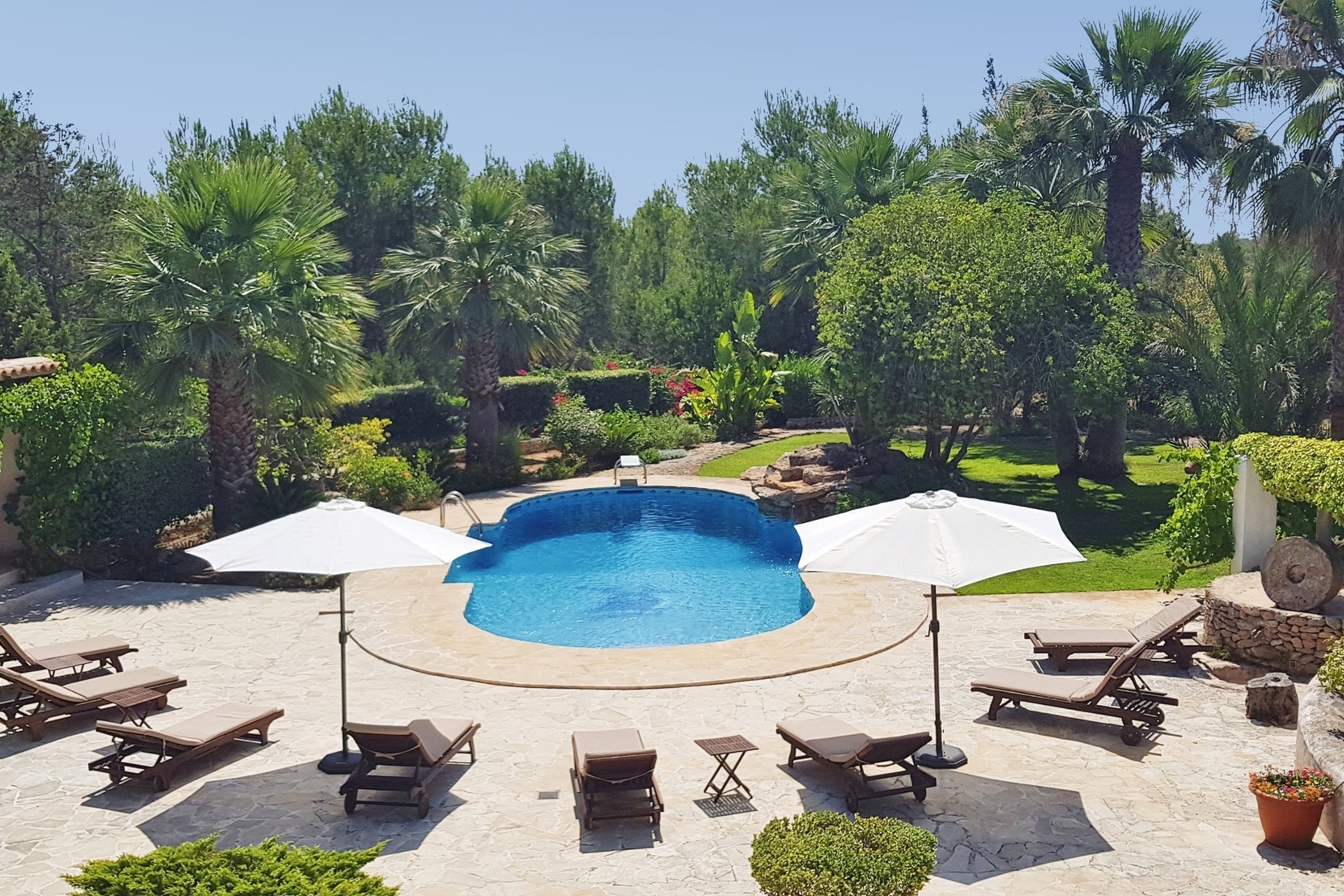 e260ba46-Can-20Paloma-20Two-20-2823-29