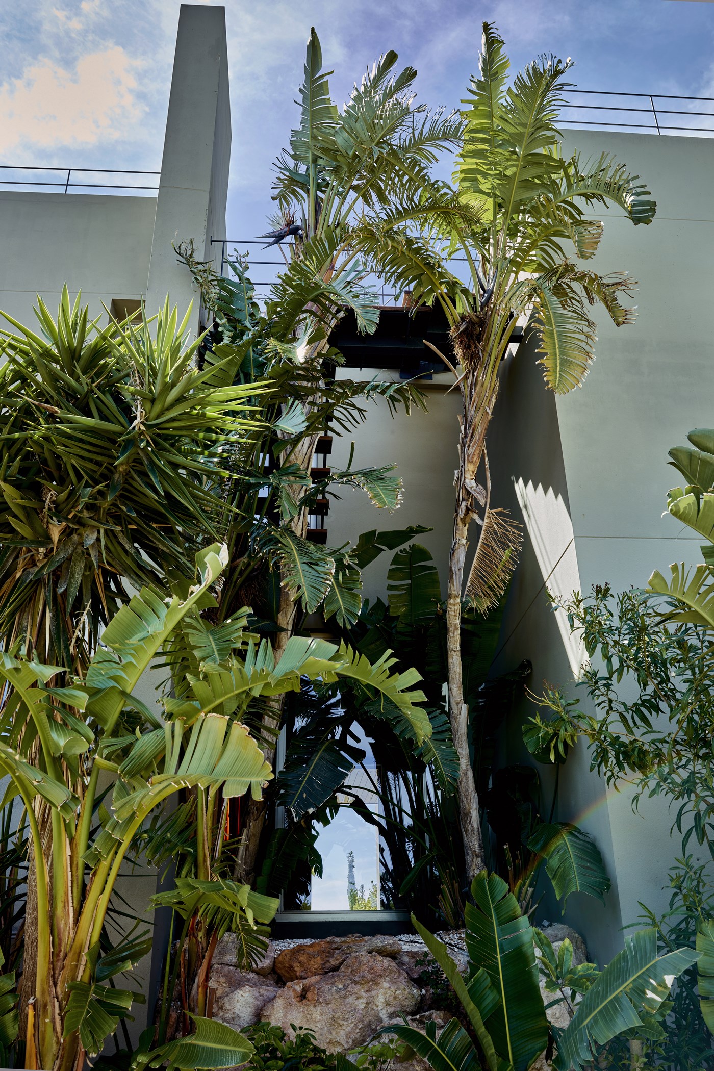 Casa-Carmen-TBP-Ibiza-2024-CF068521