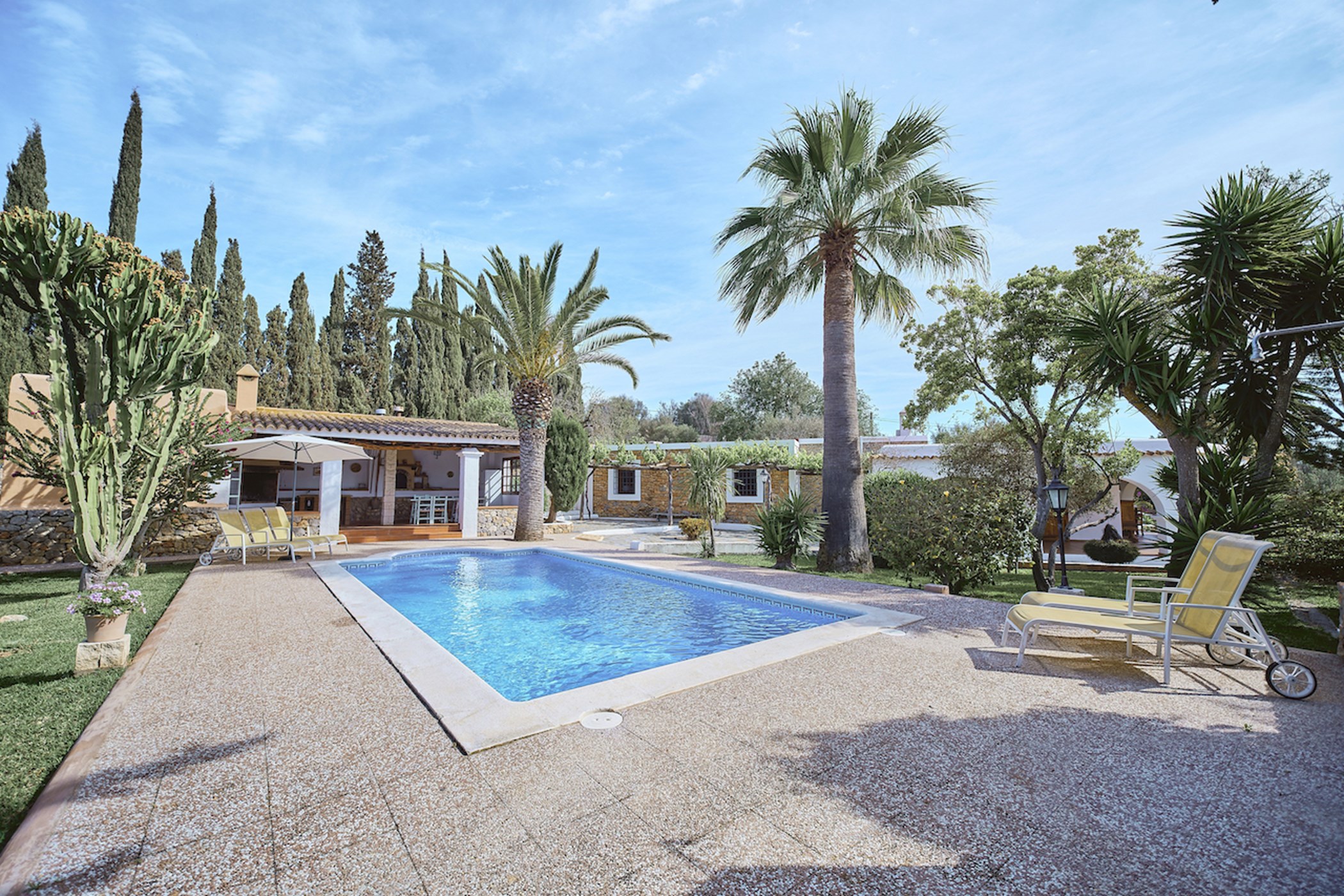 DSCF2576-RAF_DxO_DeepPRIMEXD