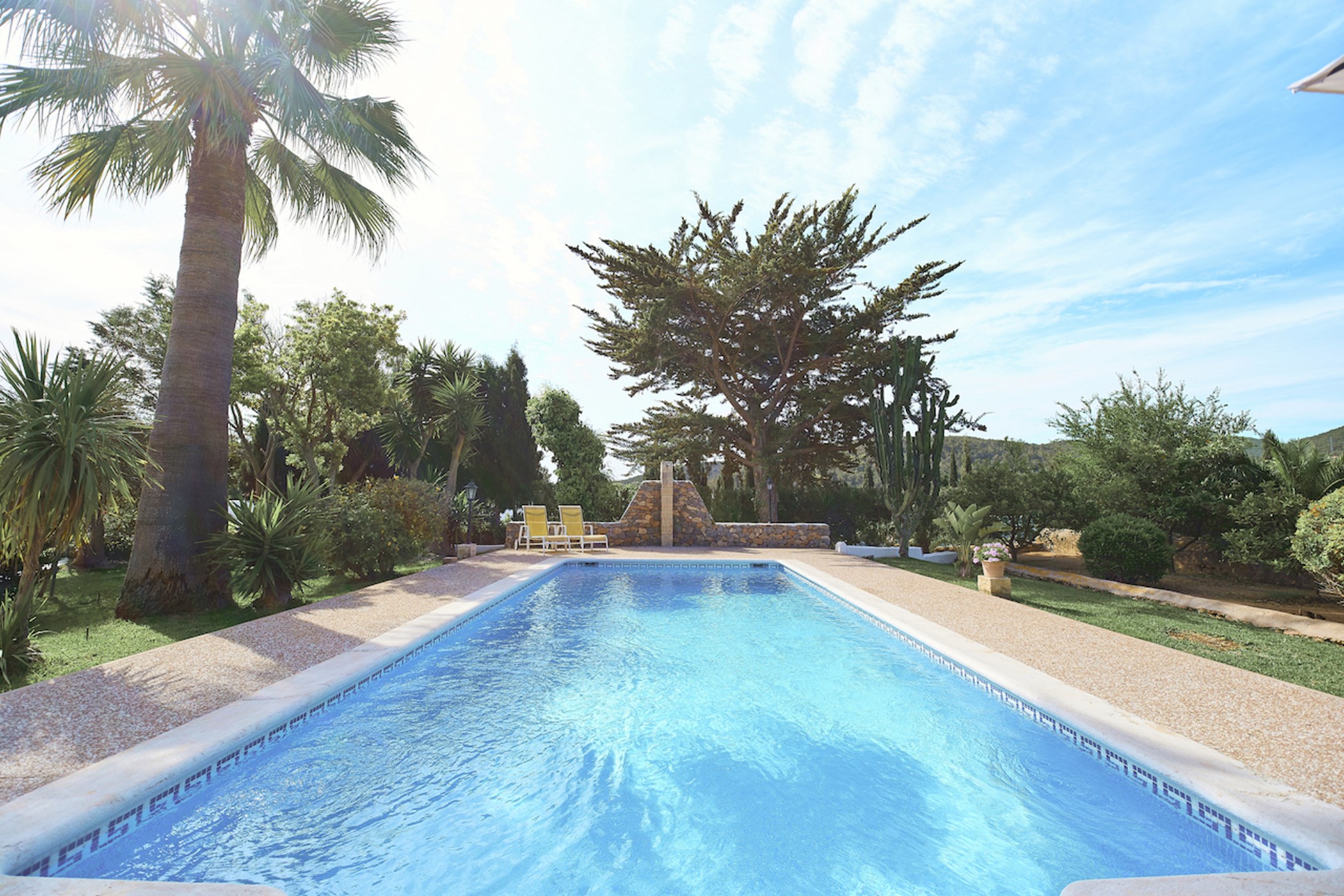 DSCF2589-RAF_DxO_DeepPRIMEXD