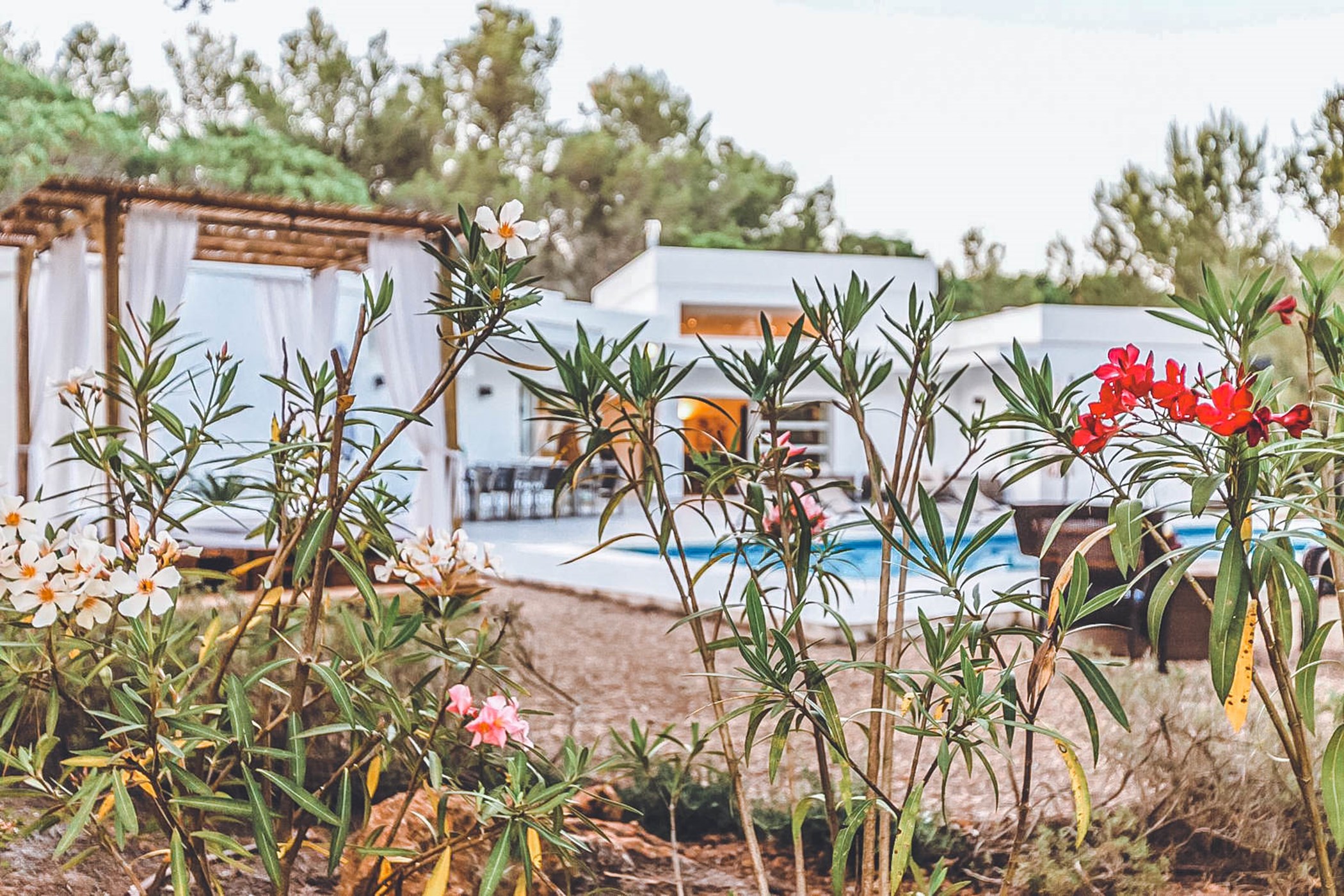 PHOTO-2020-01-28-18-22-24-4