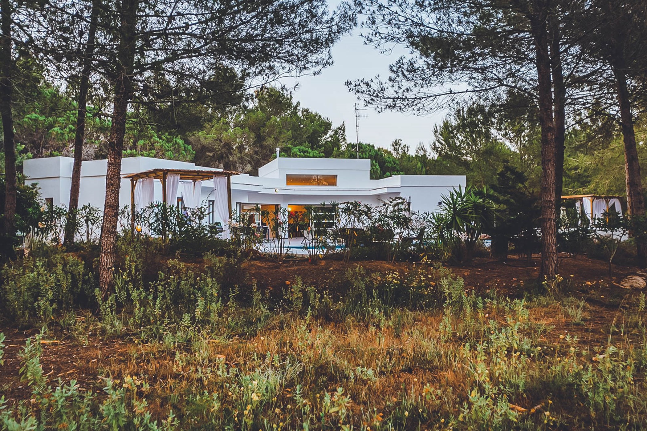 PHOTO-2020-01-28-18-22-25-3