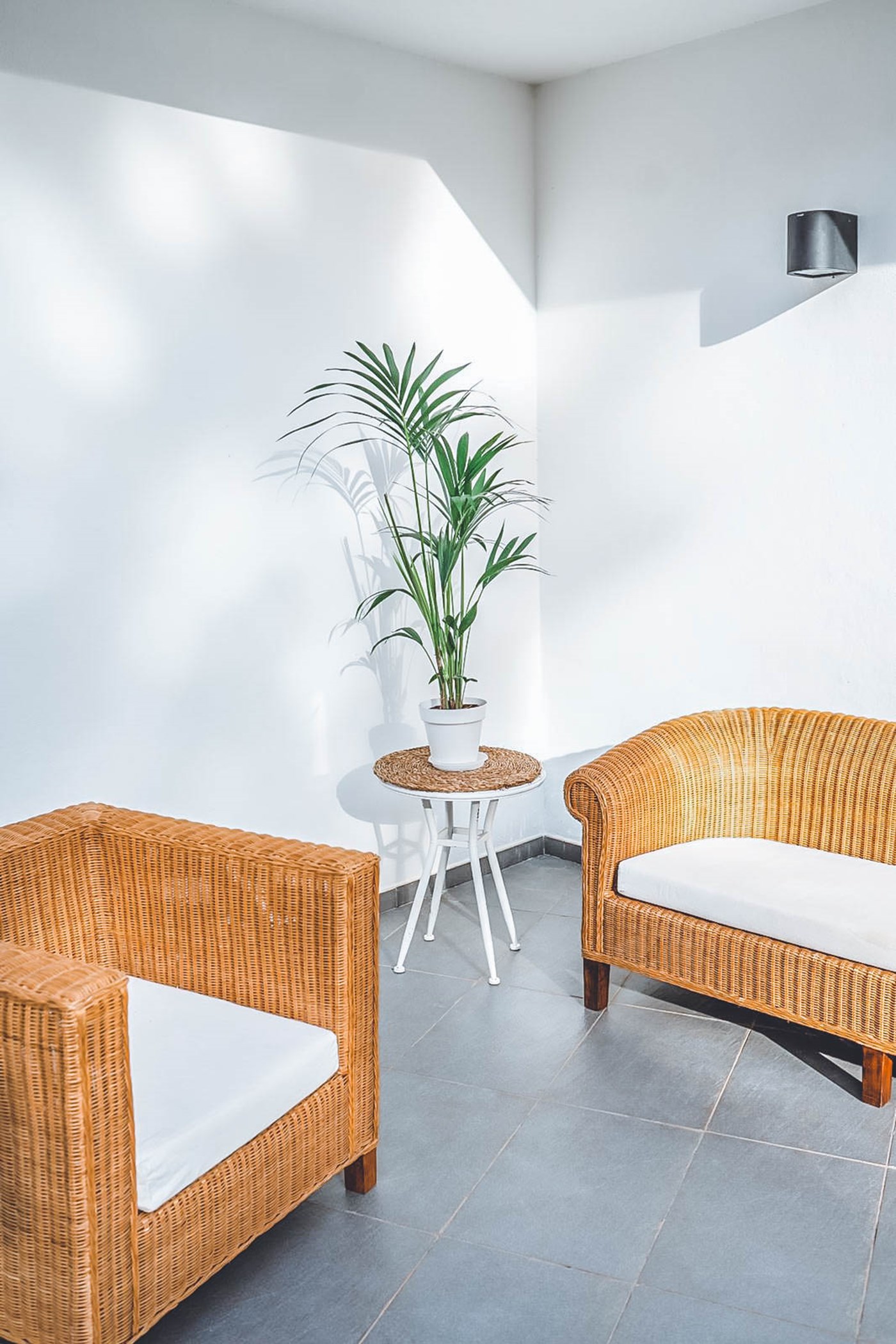 PHOTO-2020-01-28-18-22-29