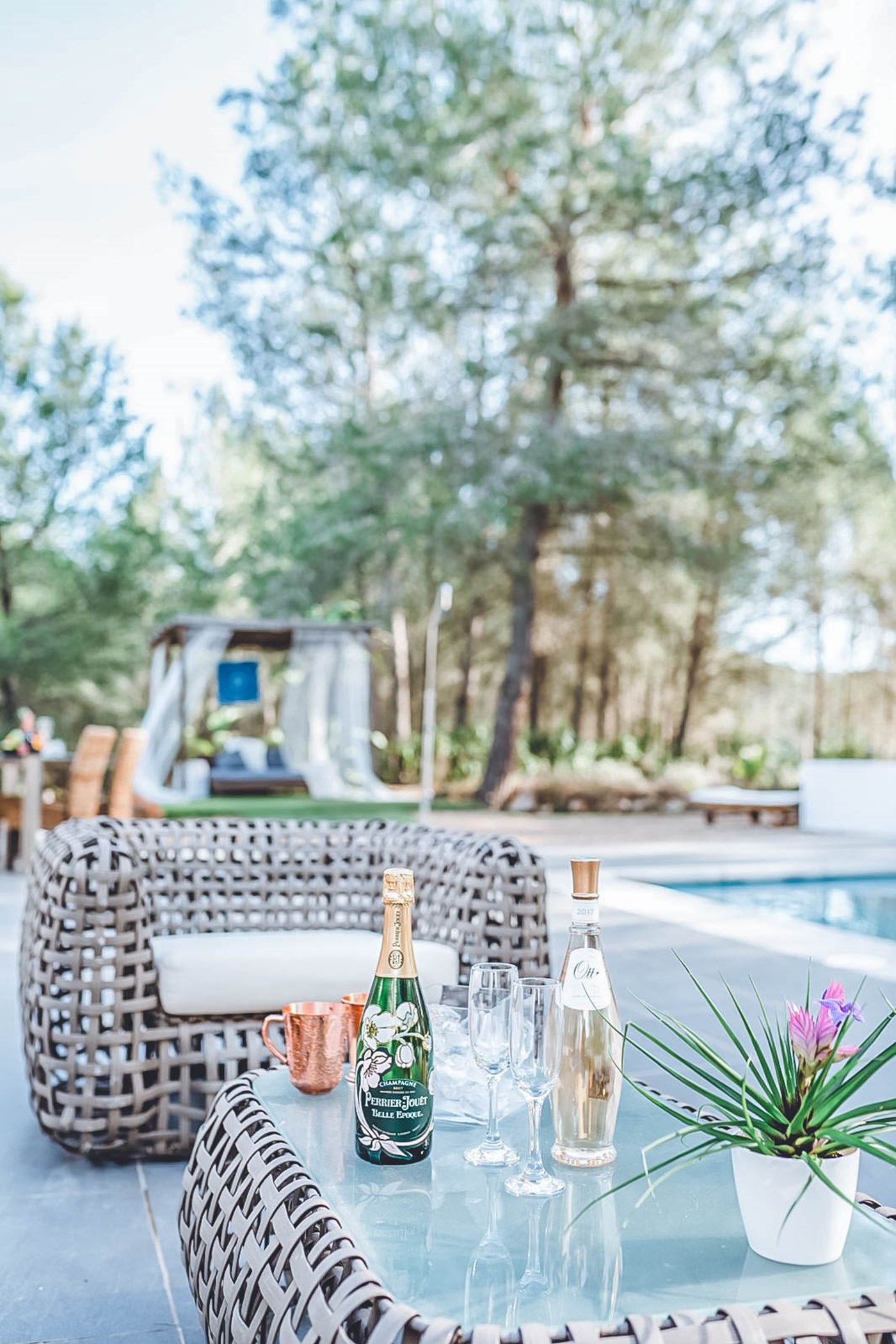 PHOTO-2020-01-28-18-24-55