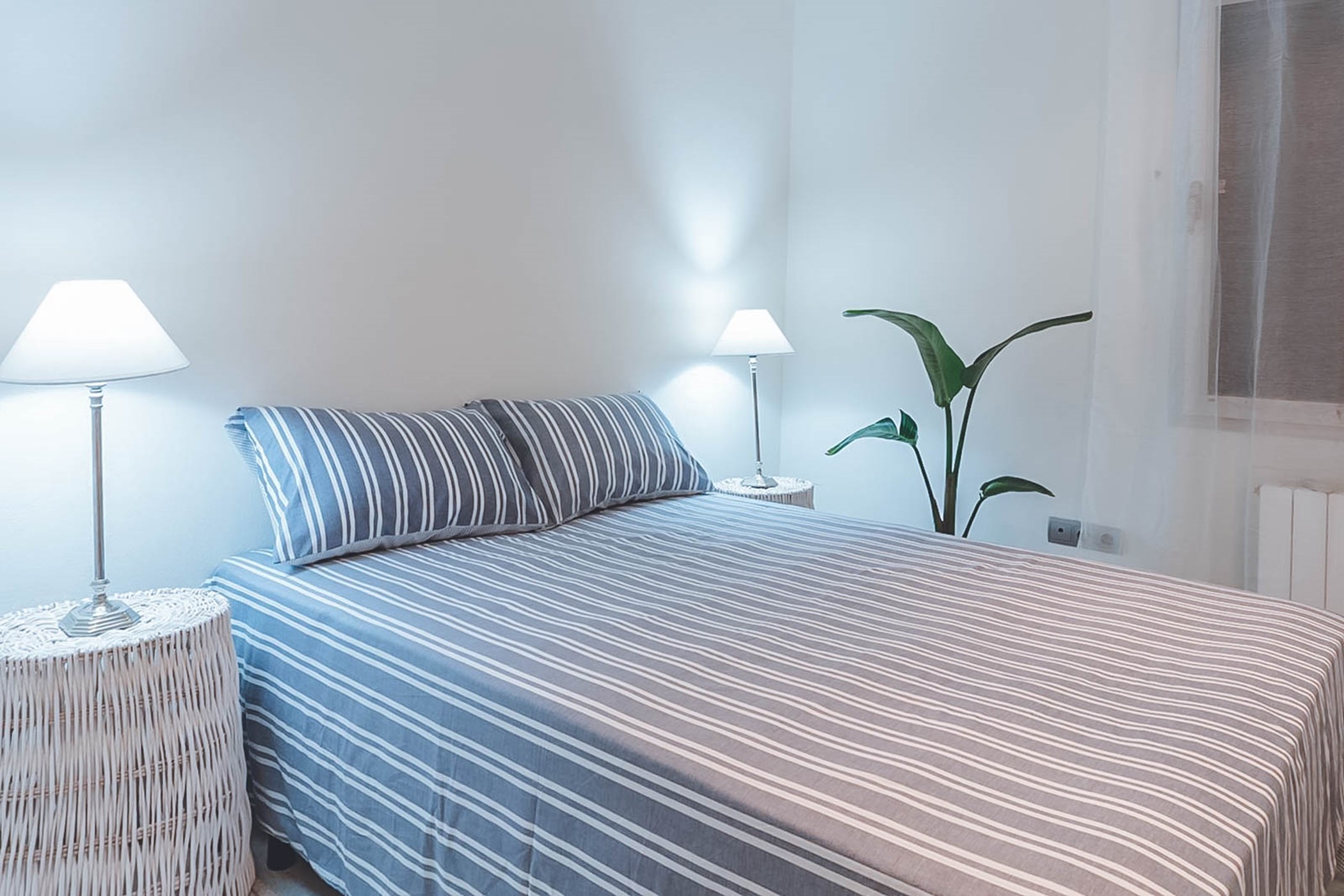 PHOTO-2020-01-28-18-29-36