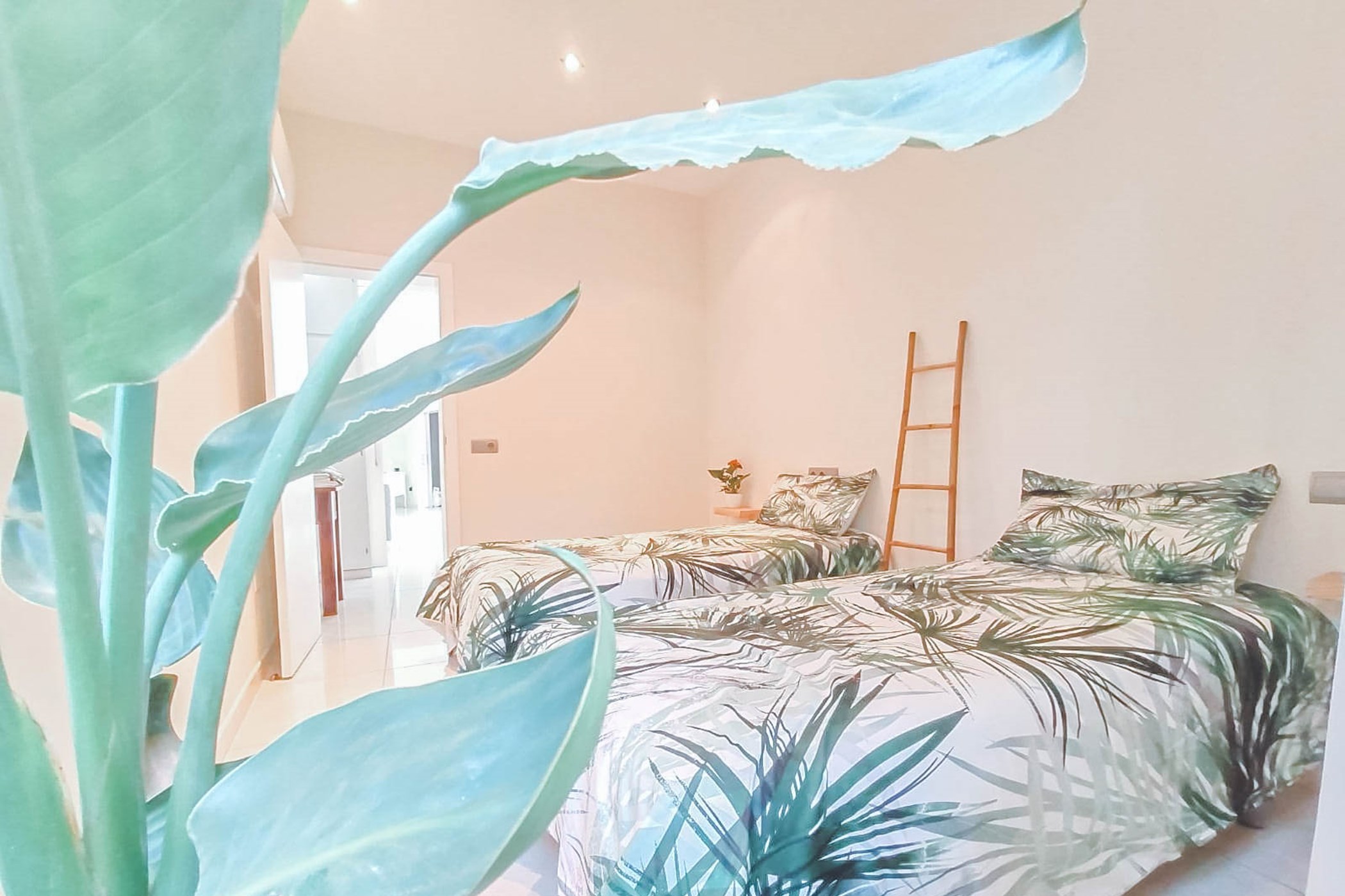 PHOTO-2020-01-28-18-29-38-2