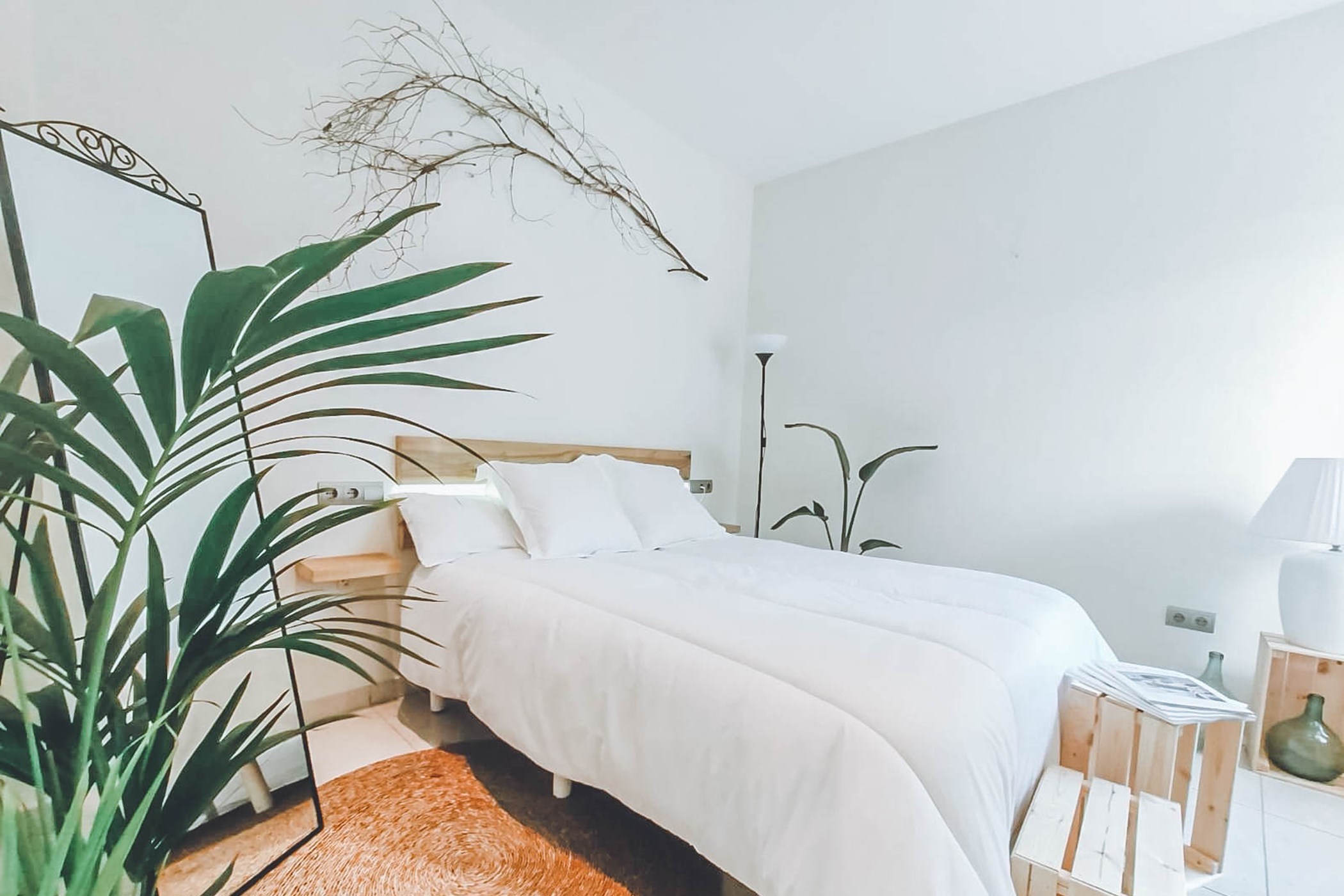 PHOTO-2020-01-28-18-29-40-3