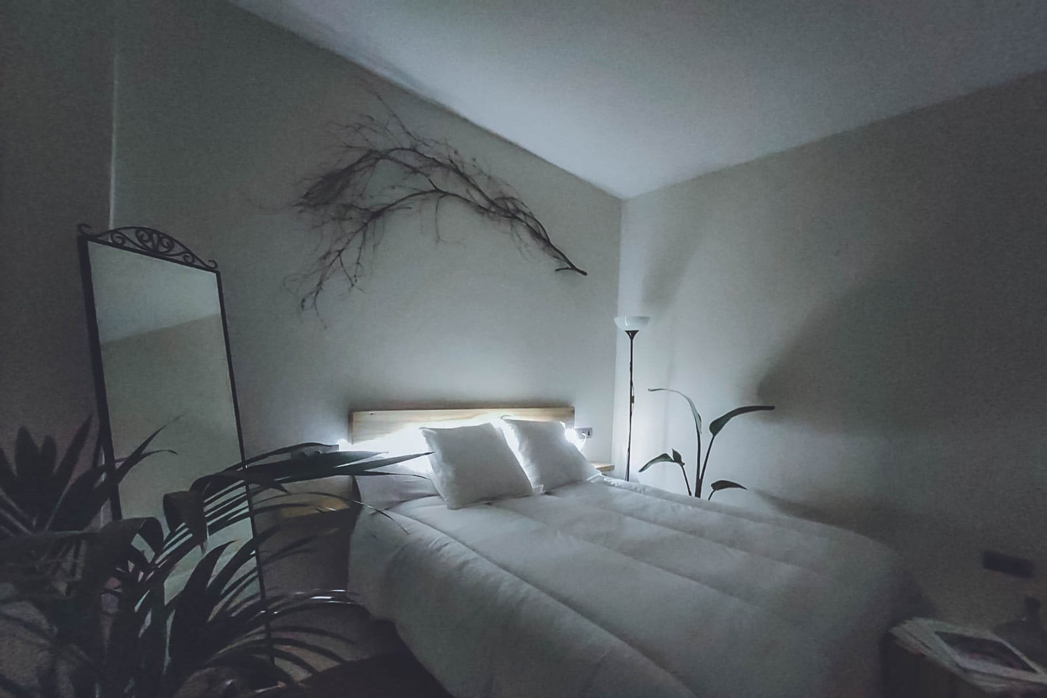 PHOTO-2020-01-28-18-29-40