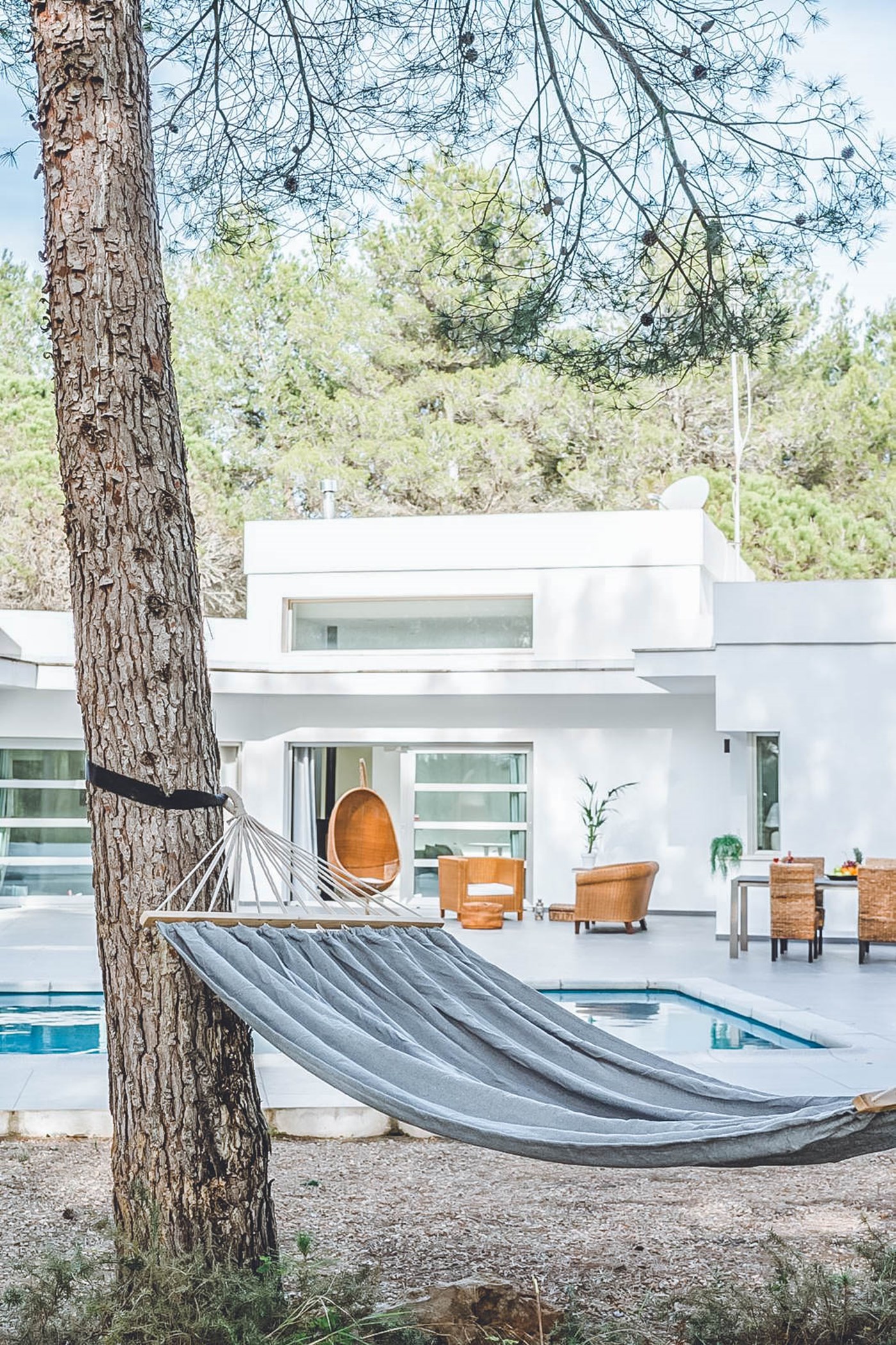 PHOTO-2020-01-28-18-31-10