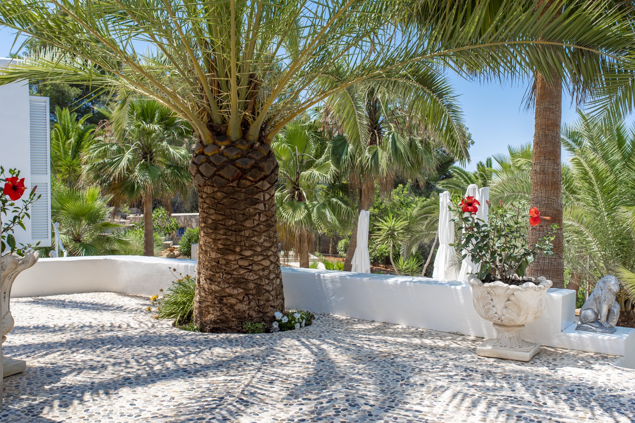 High_Resolution-16-2